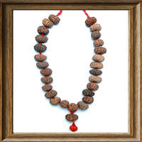 12 mukhi Rudraksha Mala (27 beads - Indonesian)