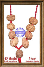 Load image into Gallery viewer, 12 mukhi Rudraksha Wrist Mala/Kanthas in thread (9 beads - Indon
