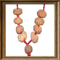 12 mukhi Rudraksha Wrist Mala/Kanthas in thread (9 beads - Indon