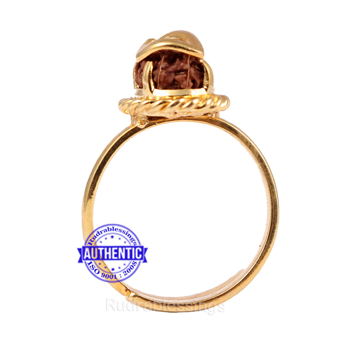 12 Mukhi Indonesian Rudraksha Ring - 1