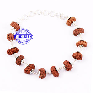 12 Mukhi Indonesian Rudraksha Bracelet (Pure Silver)
