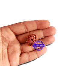 Load image into Gallery viewer, 12 Mukhi Nepalese Rudraksha - Bead No 257
