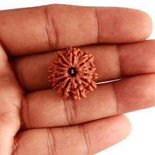 Load image into Gallery viewer, 12 Mukhi Nepalese Rudraksha - Bead No 282
