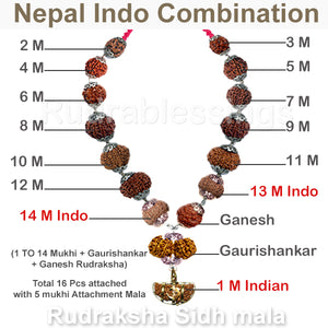 Rudraksha SidhShakti Mala Nepal Indonesia Combo - Std size - 1
