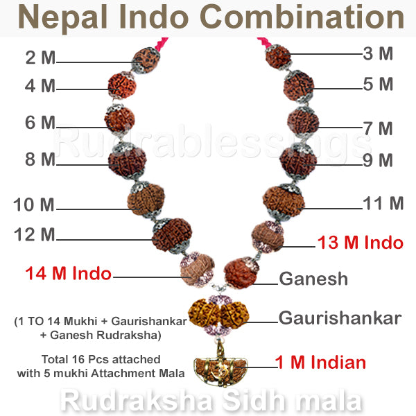 Rudraksha SidhShakti Mala Nepal Indonesia Combo - Std size - 1