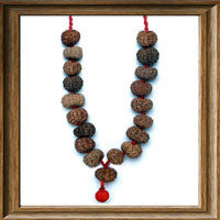 13 mukhi Rudraksh Mala (18+1 beads - Indonesian)