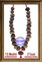 Load image into Gallery viewer, 13 mukhi Rudraksha Mala (27 beads - Indonesian)

