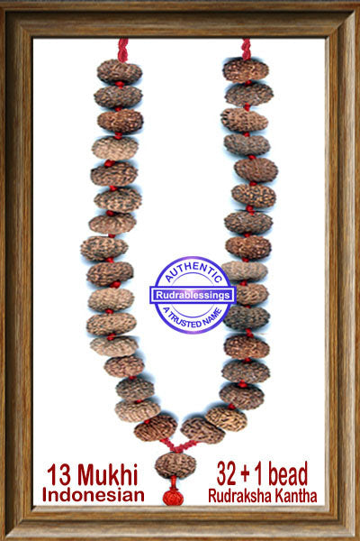 13 mukhi Rudraksha Kantha (32+1 beads - Indonesian)