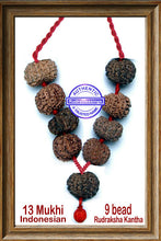 Load image into Gallery viewer, 13 mukhi Rudraksha Wrist Mala / Kanthas (9 beads)
