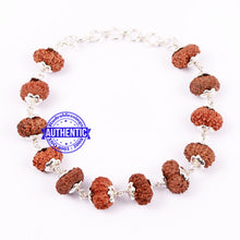 Load image into Gallery viewer, 13 Mukhi Indonesian Rudraksha Bracelet (Pure Silver)

