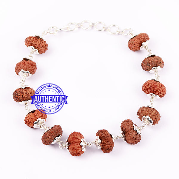 13 Mukhi Indonesian Rudraksha Bracelet (Pure Silver) – Rudra and Sons