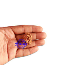 Load image into Gallery viewer, 13 Mukhi Nepalese Rudraksha - Bead No. 271
