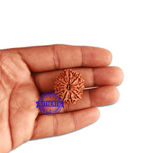 Load image into Gallery viewer, 13 Mukhi Nepalese Rudraksha - Bead No. 274
