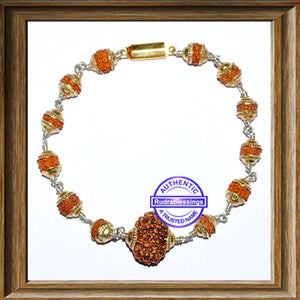 14 Mukhi Wrist Band (Indonesian) - Type 1