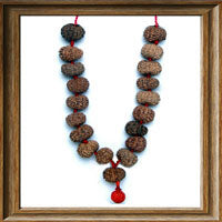 Load image into Gallery viewer, 14 mukhi Rudraksha Mala - (18+1 beads - Indonesian)
