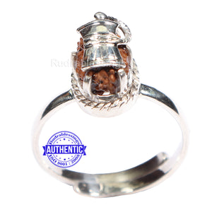 14 Mukhi Indonesian Rudraksha Ring - 1