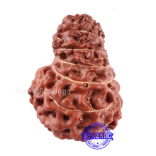 Load image into Gallery viewer, 15 Mukhi Indonesian Rudraksha - Bead No. 239
