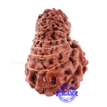 Load image into Gallery viewer, 15 Mukhi Indonesian Rudraksha - Bead No. 239
