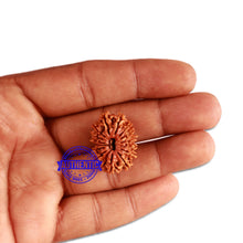 Load image into Gallery viewer, 14 Mukhi Nepalese Rudraksha - Bead No. 268
