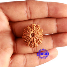 Load image into Gallery viewer, 14 Mukhi Nepalese Rudraksha - Bead No. 294
