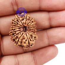 Load image into Gallery viewer, 15 Mukhi Rudraksha from Nepal - Bead No. 32
