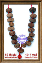 Load image into Gallery viewer, 15 mukhi Rudraksha Wrist Mala (18+1 beads)
