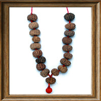 15 mukhi Rudraksha Wrist Mala (18+1 beads)