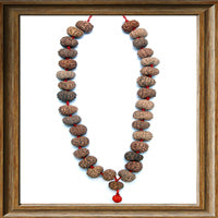 15 mukhi Rudraksha Kantha - (32+ 1 beads - Indonesian)