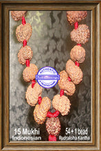 Load image into Gallery viewer, 15 mukhi Rudraksha Mala - (54+1 beads-Indonesian)
