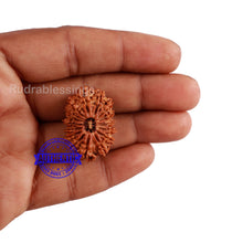 Load image into Gallery viewer, 16 Mukhi Rudraksha from Nepal - Bead No. 63
