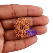 Load image into Gallery viewer, 16 Mukhi Rudraksha from Nepal - Bead No. 78
