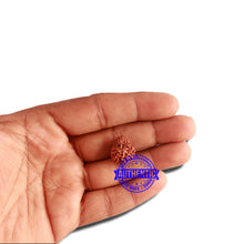 Load image into Gallery viewer, 16 Mukhi Rudraksha from Indonesia - Bead No. 219
