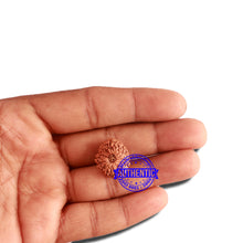 Load image into Gallery viewer, 16 Mukhi Rudraksha from Indonesia - Bead No. 221
