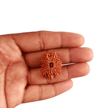 Load image into Gallery viewer, 16 Mukhi Rudraksha from Nepal - Bead No. 91
