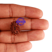 Load image into Gallery viewer, 18 Mukhi Rudraksha from Nepal - Bead No. 53

