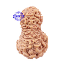 Load image into Gallery viewer, 18 Mukhi Rudraksha from Indonesia - Bead No. 152
