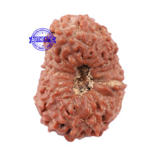 Load image into Gallery viewer, 18 Mukhi Rudraksha from Indonesia - Bead No. 153

