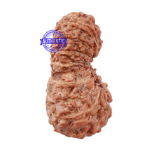 Load image into Gallery viewer, 18 Mukhi Rudraksha from Indonesia - Bead No. 158
