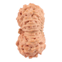Load image into Gallery viewer, 18 Mukhi Rudraksha from Indonesia - Bead No. 121
