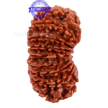 Load image into Gallery viewer, 18 Mukhi Rudraksha from Nepal - Bead No. 47
