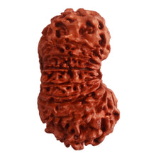 Load image into Gallery viewer, 18 Mukhi Rudraksha from Nepal - Bead No. 56
