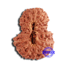 Load image into Gallery viewer, 18 Mukhi Rudraksha from Indonesia - Bead No. 193
