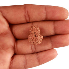 Load image into Gallery viewer, 18 Mukhi Rudraksha from Indonesia - Bead No. 193
