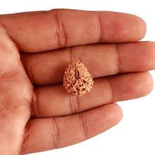 Load image into Gallery viewer, 18 Mukhi Rudraksha from Indonesia - Bead No. 194

