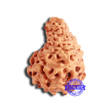 Load image into Gallery viewer, 18 Mukhi Rudraksha from Indonesia - Bead No. 194
