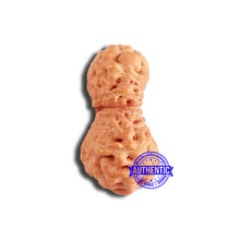 Load image into Gallery viewer, 18 Mukhi Rudraksha from Indonesia - Bead No. 209
