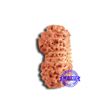 Load image into Gallery viewer, 18 Mukhi Rudraksha from Indonesia - Bead No. 210
