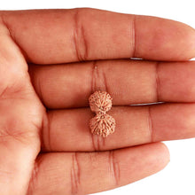 Load image into Gallery viewer, 18 Mukhi Gaurishankar Rudraksha from Indonesia - Bead No. 213
