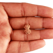 Load image into Gallery viewer, 18 Mukhi Gaurishankar Rudraksha from Indonesia - Bead No. 215
