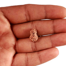 Load image into Gallery viewer, 18 Mukhi Rudraksha from Indonesia - Bead No. 226
